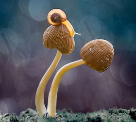 全能实用可靠的在线手机号平台